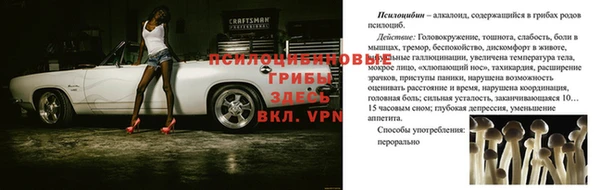 спиды Мегион
