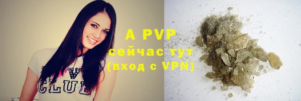 эйфоретик Магадан