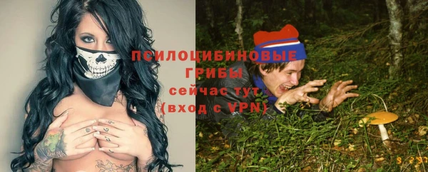 спиды Мегион