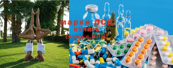 герыч Магас
