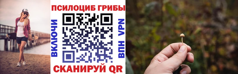 мега tor Октябрьск Псилоцибиновые грибы Psilocybine cubensis