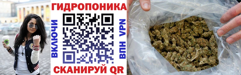 Конопля SATIVA & INDICA магазин продажи наркотиков Октябрьск